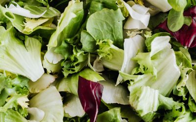 Classic Caesar Salad